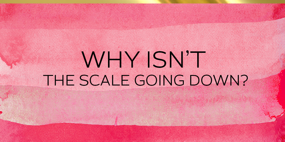 Why Isn’t the Scale Going Down?